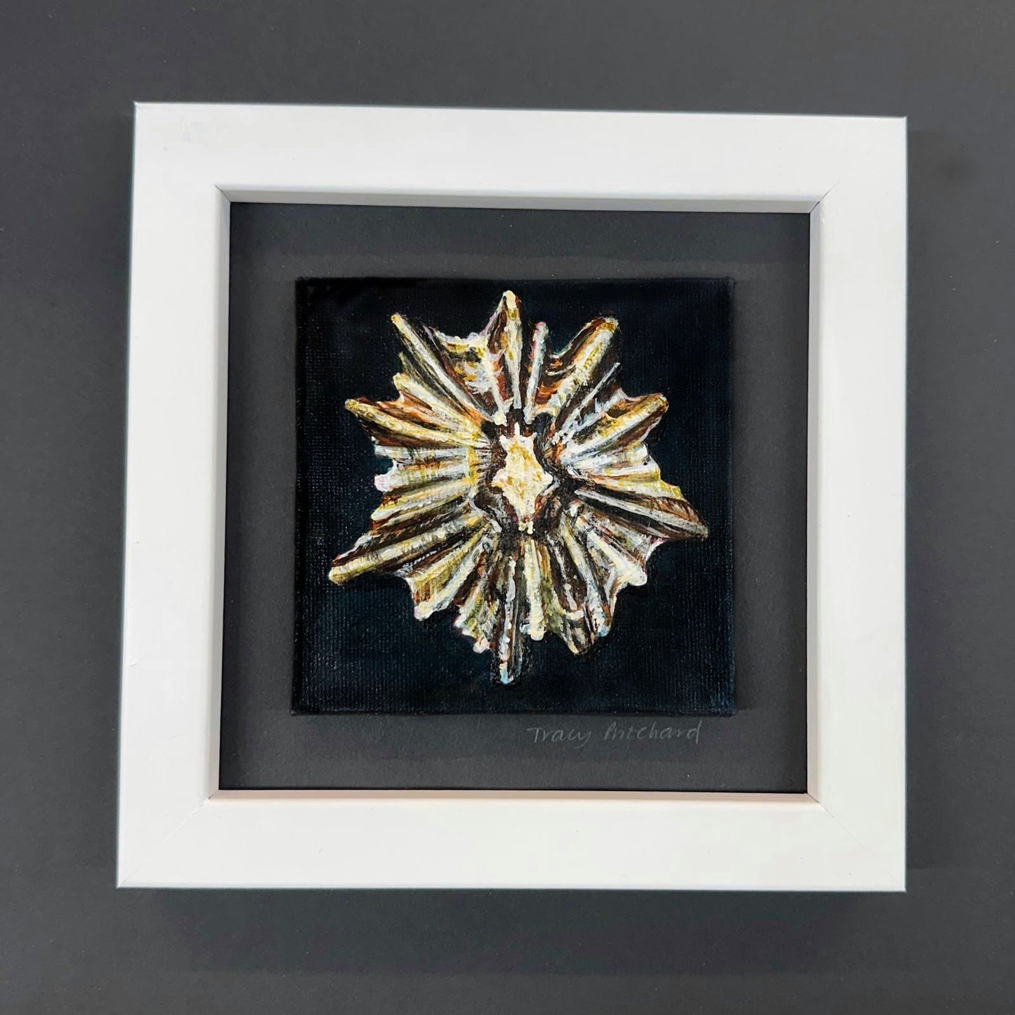 ‘Tide Worn Star’ painting