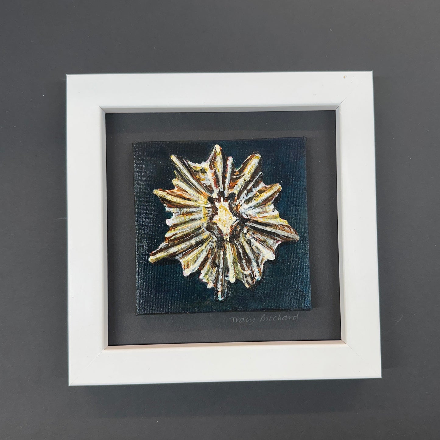 ‘Tide Worn Star’ painting