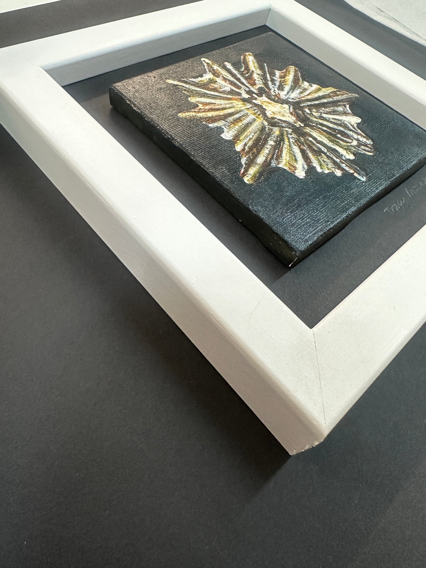 ‘Tide Worn Star’ painting