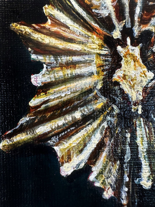 ‘Tide Worn Star’ painting