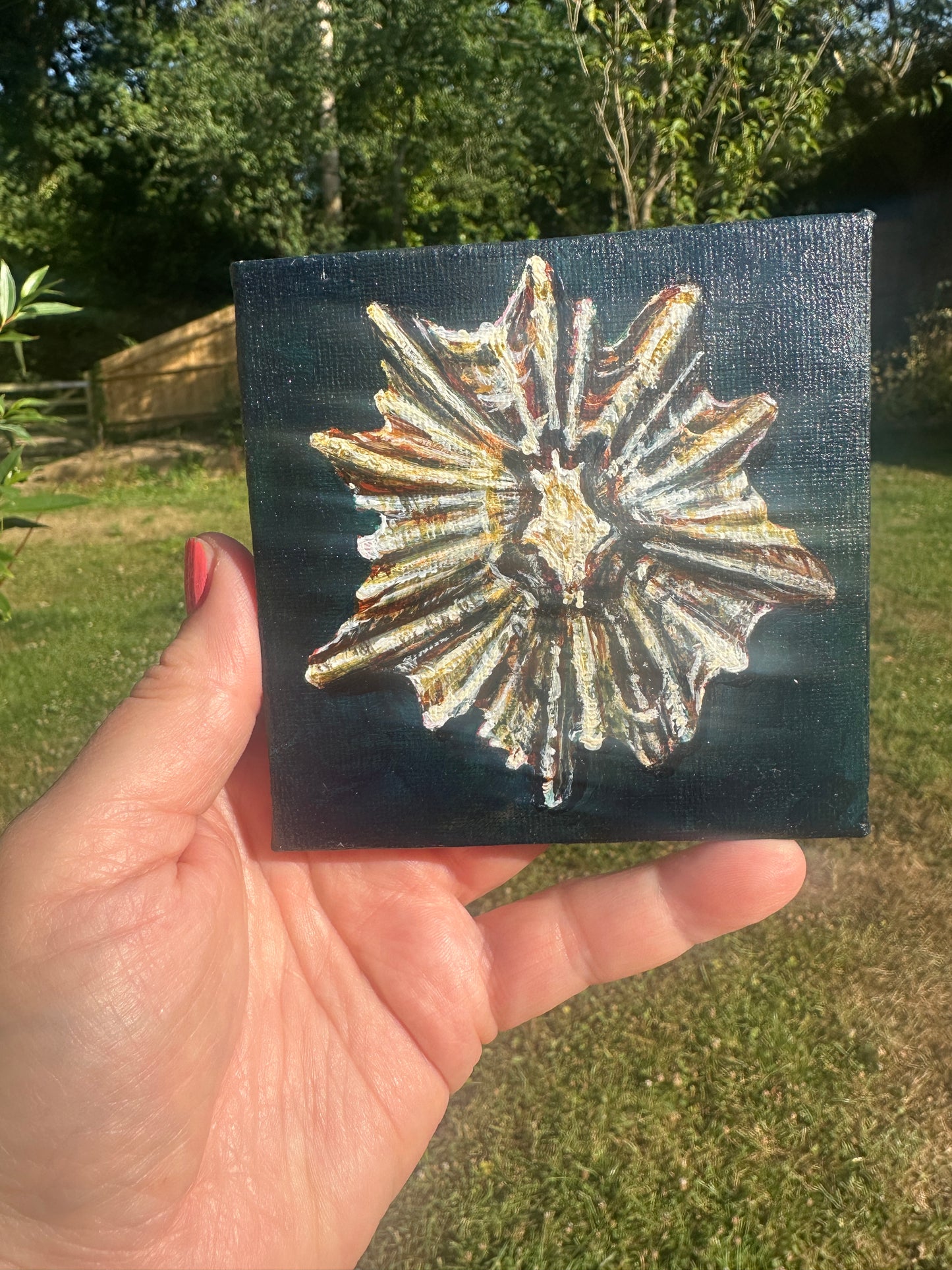 Tideworn Series: Tide Worn Star – Fine Art Print