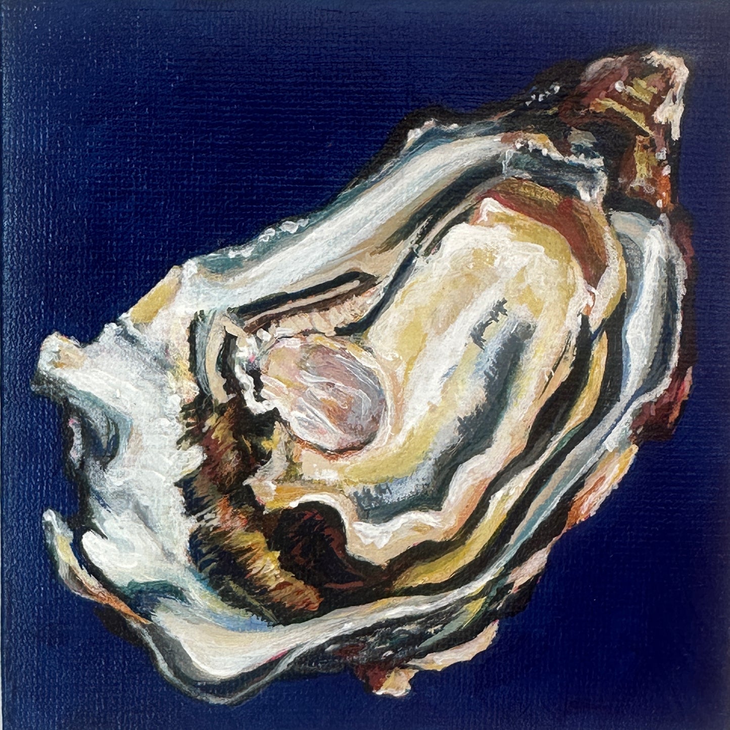 Tideworn Series: The Softness Within – Fine Art Print