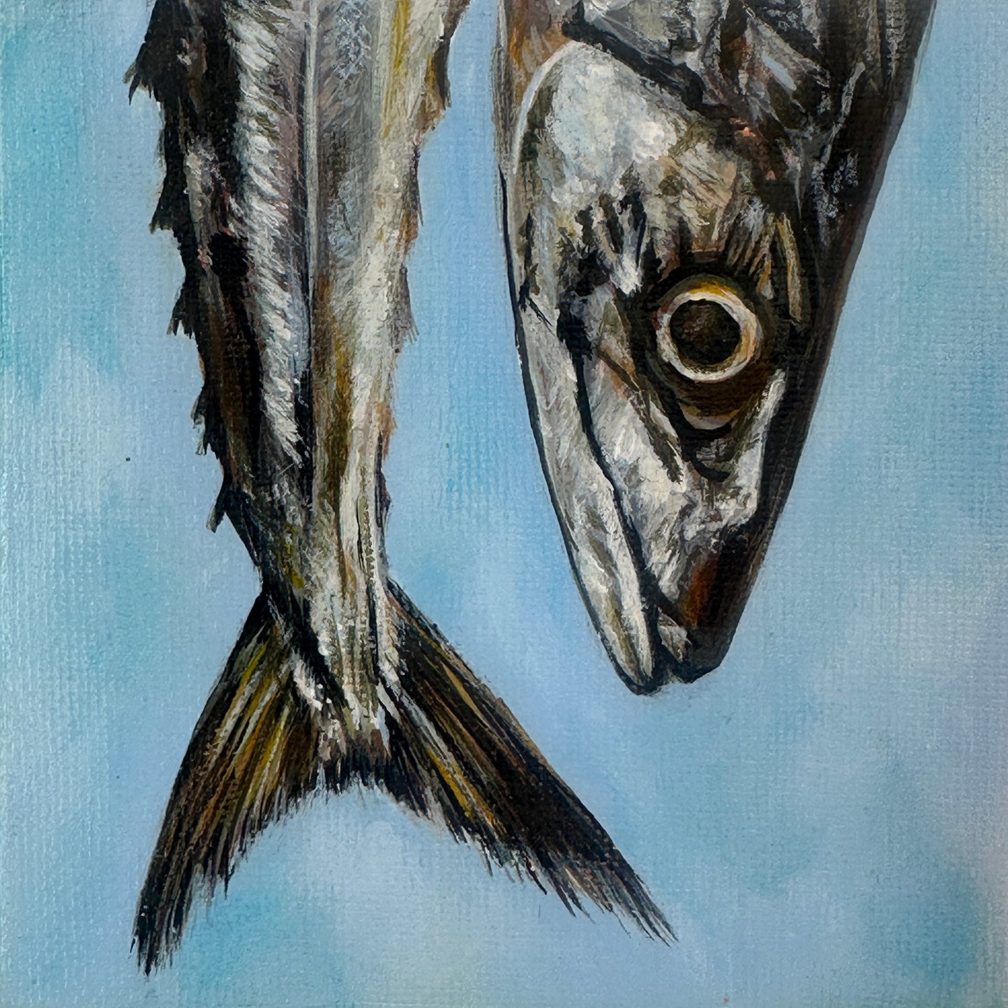 Tideworn Series: Silver Stillness – Fine Art Print